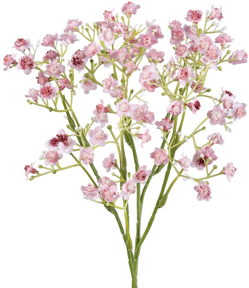 Gasper Gipskruid Gypsophila roze 48 cm