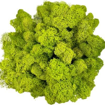 Inspire Select Artificial Reindeer Moss Decor Faux Green Moss For Crafts, Potted Plants & Wall Art yellow Green 2.1 Oz