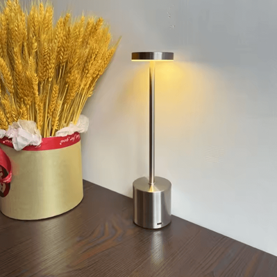 Inspire Curations Portable Aluminum LED Table Lamp USB Rechargeable Cordless Dimmable Light silver