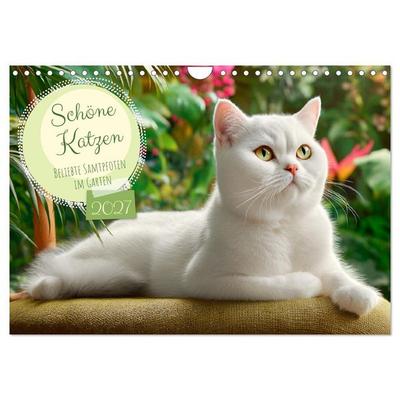 Schöne Katzen. Beliebte Samtpfoten im Garten (Wandkalender 2027 DIN A4 quer), CALVENDO Monatskalender