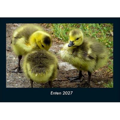 Enten 2027 Fotokalender DIN A4