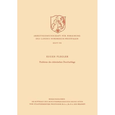 Probleme des elektrischen Durchschlags, Taschenbuch von Eugen Flegler, VS Verlag für Sozialwissenschaften, 978-3-663-00943-6