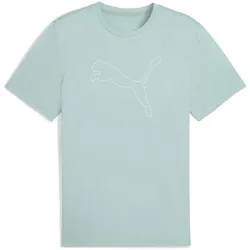 PUMA Tad Essential Heather Large Cat Trainingsshirt Herren 37 - light moss heather XXL