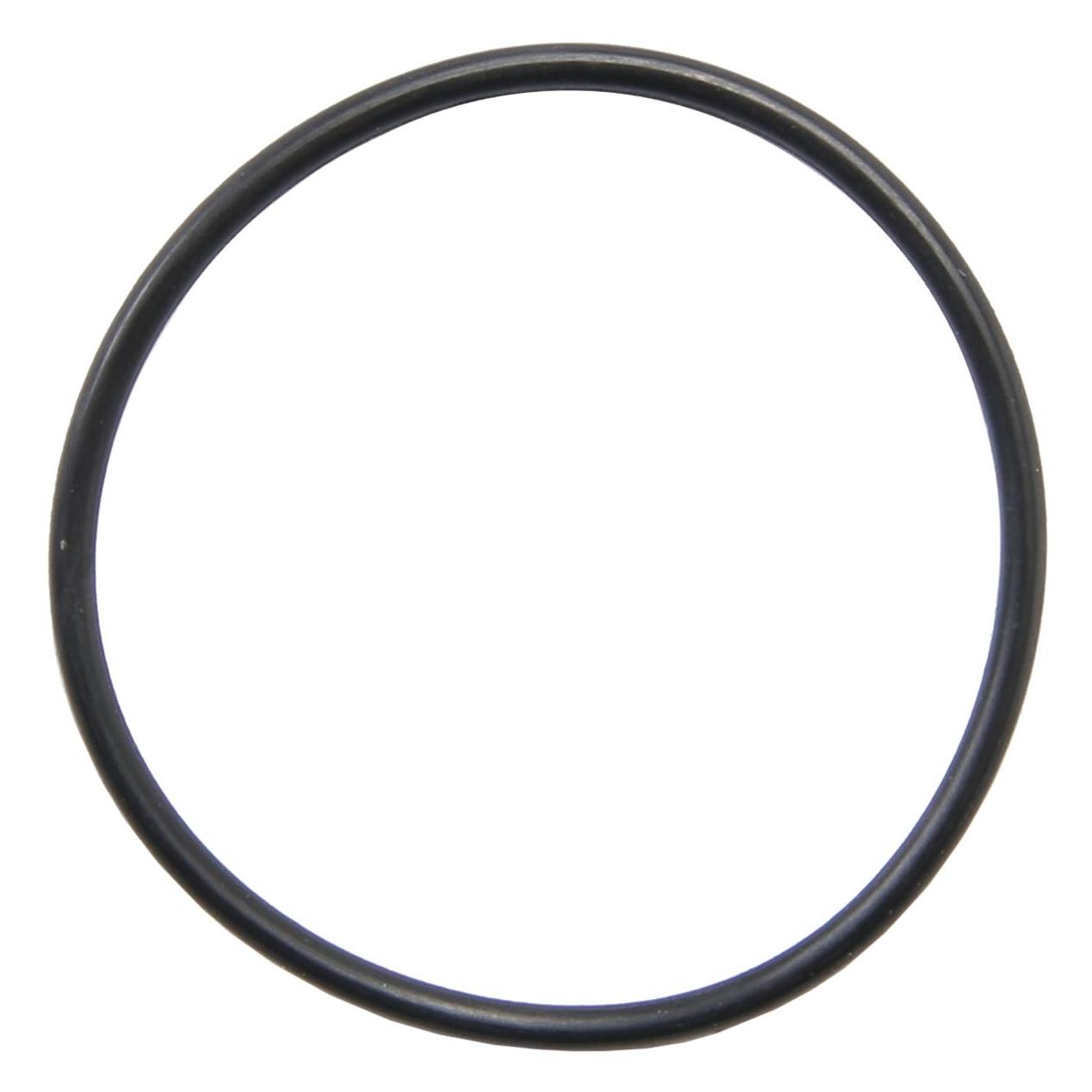 RMS Deutschland GmbH DICHTRING VORDERRAD (100706280)