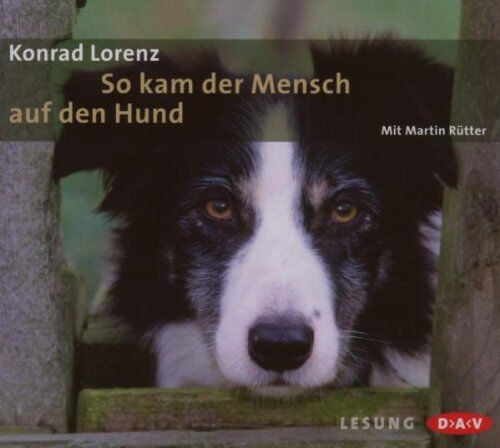 So Kam der Mensch auf Den Hund - Preis vom 15.10.2026 23:06:25 h