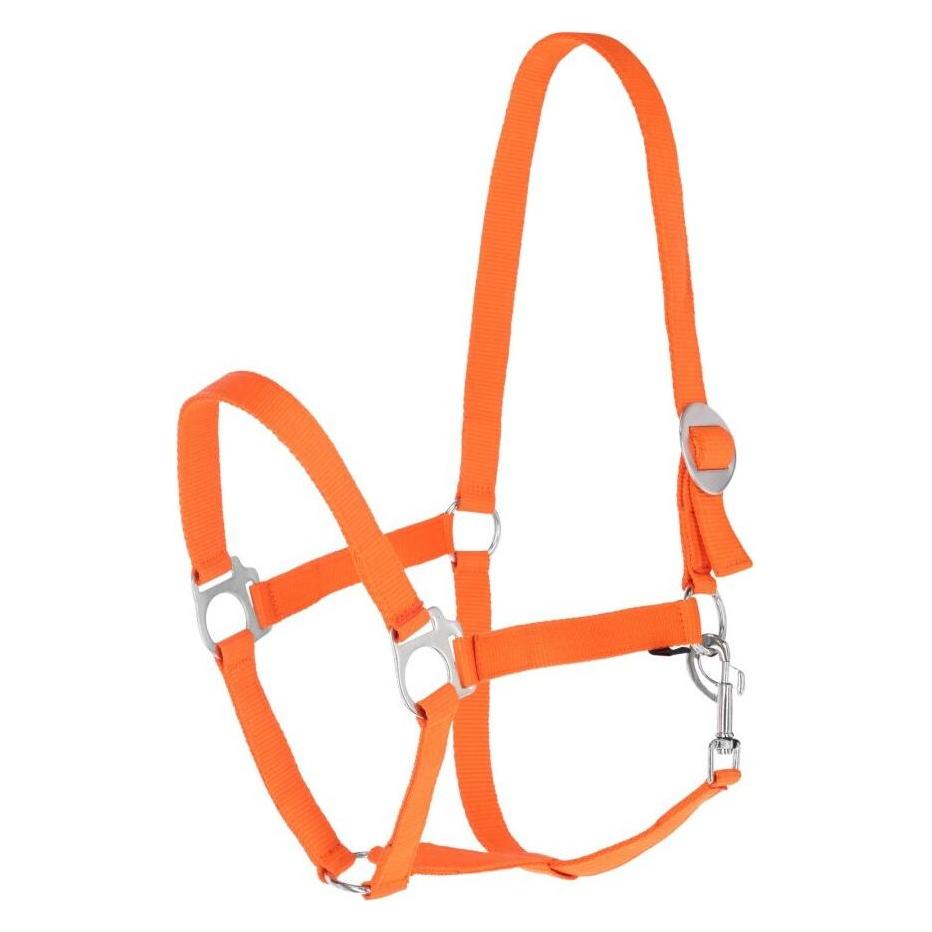 Kerbl Nylonhalfter Hippo, XFull, orange (3230433)