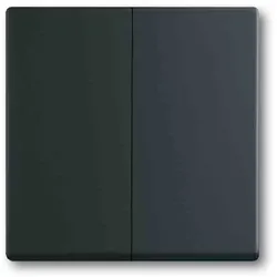 Busch-Jaeger FUTURE LINEAR Wippe Serien, Schalter/Taster, schwarz, matt, ohne ISO Aufdruck