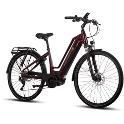 Quantum Sport Lady 10 Gang Bafang Mittelmotor Scheibenbremsen