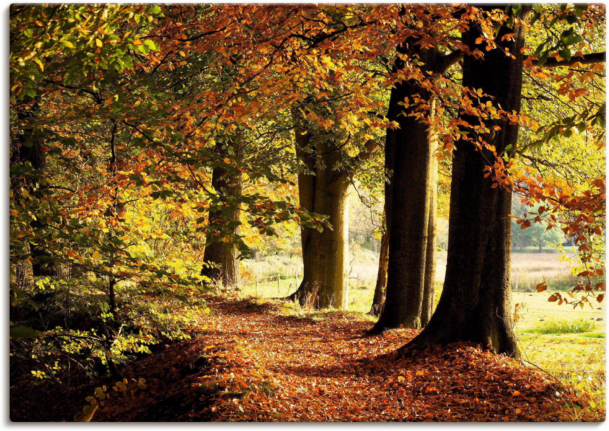 Leinwandbild ARTLAND "Herbstfarben", gelb (farbe bild(er): gelb), B:70cm H:50cm, Bilder, Leinwandbild, auf Holzrahmen gespannt farbe bild(er): gelb B/H/T: 70cm x 50cm, Leinwandbild Bäume, 1 Stk.