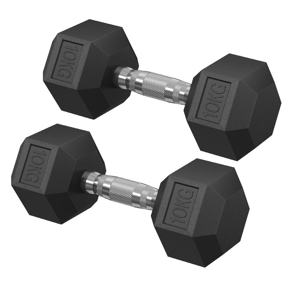 SONGMICS Hanteln 2er Set insgesamt 20 kg tintenschwarz SYL010B01