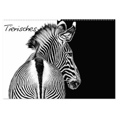Tierisches (Wandkalender 2026 DIN A2 quer), CALVENDO Monatskalender
