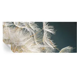 FOTOTAPETE 250x104 cm - Löwenzahn der Leichtigkeit