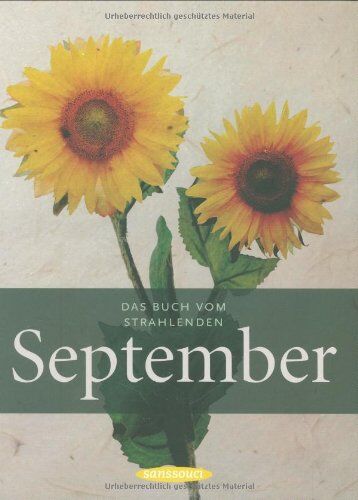 Liane Dirks - Das Buch vom strahlenden September - Preis vom 10.10.2026 11:48:34 h