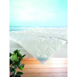 f.a.n. Frankenstolz Bettdecke Leicht-Steppbett Summerline Wash Cotton 155x220