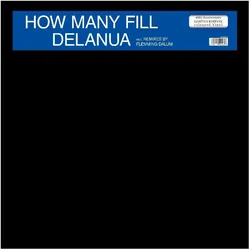 ZYX Music, Schallplatten, How Many Fill (Delanua)
