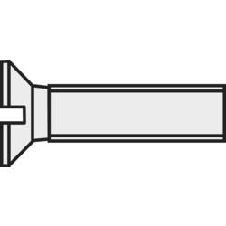 TOOLCRAFT 839944 Senkschrauben M2 10 mm Schlitz DIN 963 Kunststoff, Polyamid 10 St.