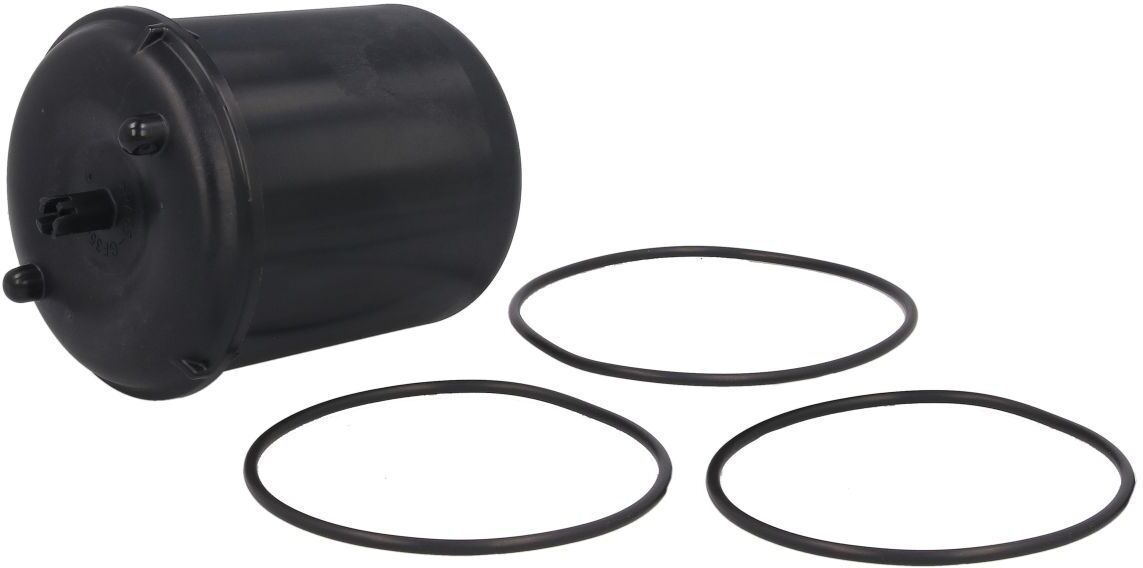 Dt Spare Parts Filtro olio 1.31690