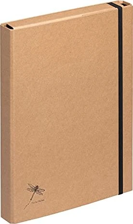 Pagna Sammelbox A4 Pur Gummizugverschluss natur