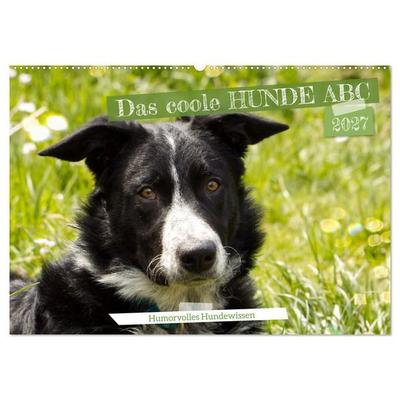 Das coole Hunde ABC (Wandkalender 2027 DIN A2 quer), CALVENDO Monatskalender
