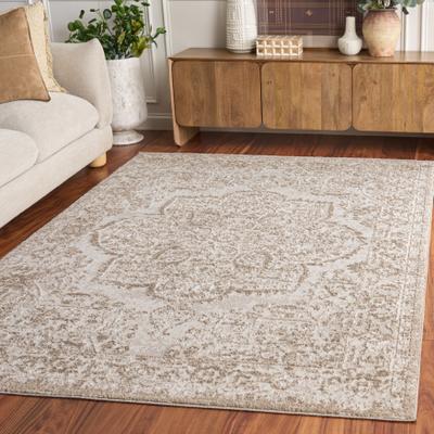 SAFAVIEH Chamber Gaetanina Medallion Area Rug