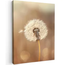 LEINWANDBILD Löwenzahn - Beige - Natur - Blume Room Decor 30x40 cm