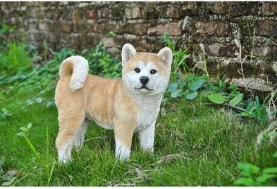 Hi-Line Gift Ltd. Akita Dog Standing Statue