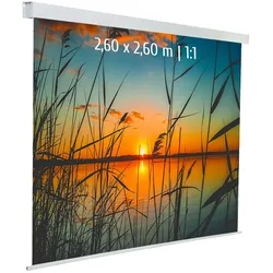 KIMEX - Motorisierte Leinwand 2,60 x 2,60m - Format 1:1 - Weißes Tuch