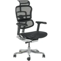 Ergohuman ELITE 2 Ergonomischer Bürostuhl – Schwarz