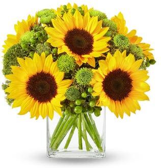 From You Flowers Flowers - Sunflower Hills