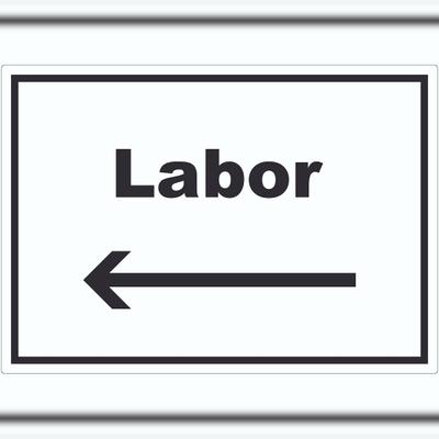HB-Druck Labor Aufkleber mit Text und Richtungspfeil links untersuchen forschen waagerecht A1 (594x841mm)
