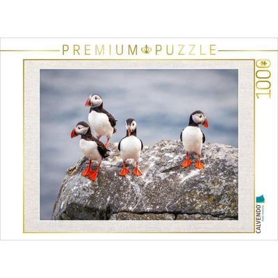 CALVENDO Puzzle Papageientaucher in ihrer natürlichen Umgebung | 1000 Teile Lege-Größe 64x48cm Foto-Puzzle für glückliche Stunden
