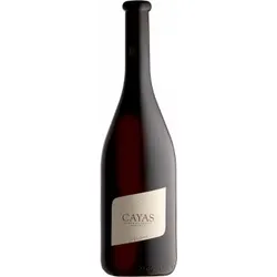 Cayas Syrah Réserve 2020 - Domaine Jean-René Germanier - 0.75L