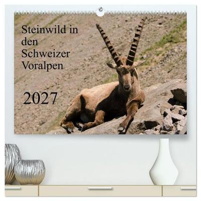 Steinwild in den Schweizer Voralpen (hochwertiger Premium Wandkalender 2027 DIN A2 quer), Kunstdruck in Hochglanz