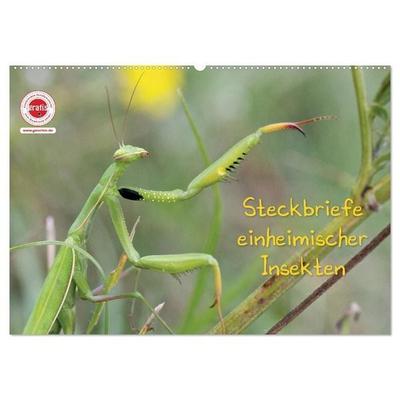 GEOclick Lernkalender: Insekten (Wandkalender 2027 DIN A2 quer), CALVENDO Monatskalender
