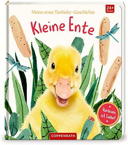 Amanda Wood - Meine erste Tierbaby-Geschichte: Kleine Ente - Preis vom 01.10.2026 17:08:56 h