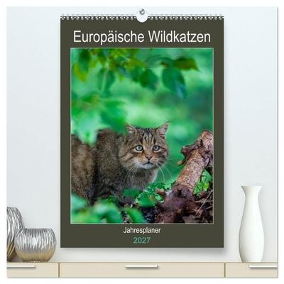 Europäische Wildkatzen - Jahresplaner (hochwertiger Premium Wandkalender 2027 DIN A2 hoch), Kunstdruck in Hochglanz