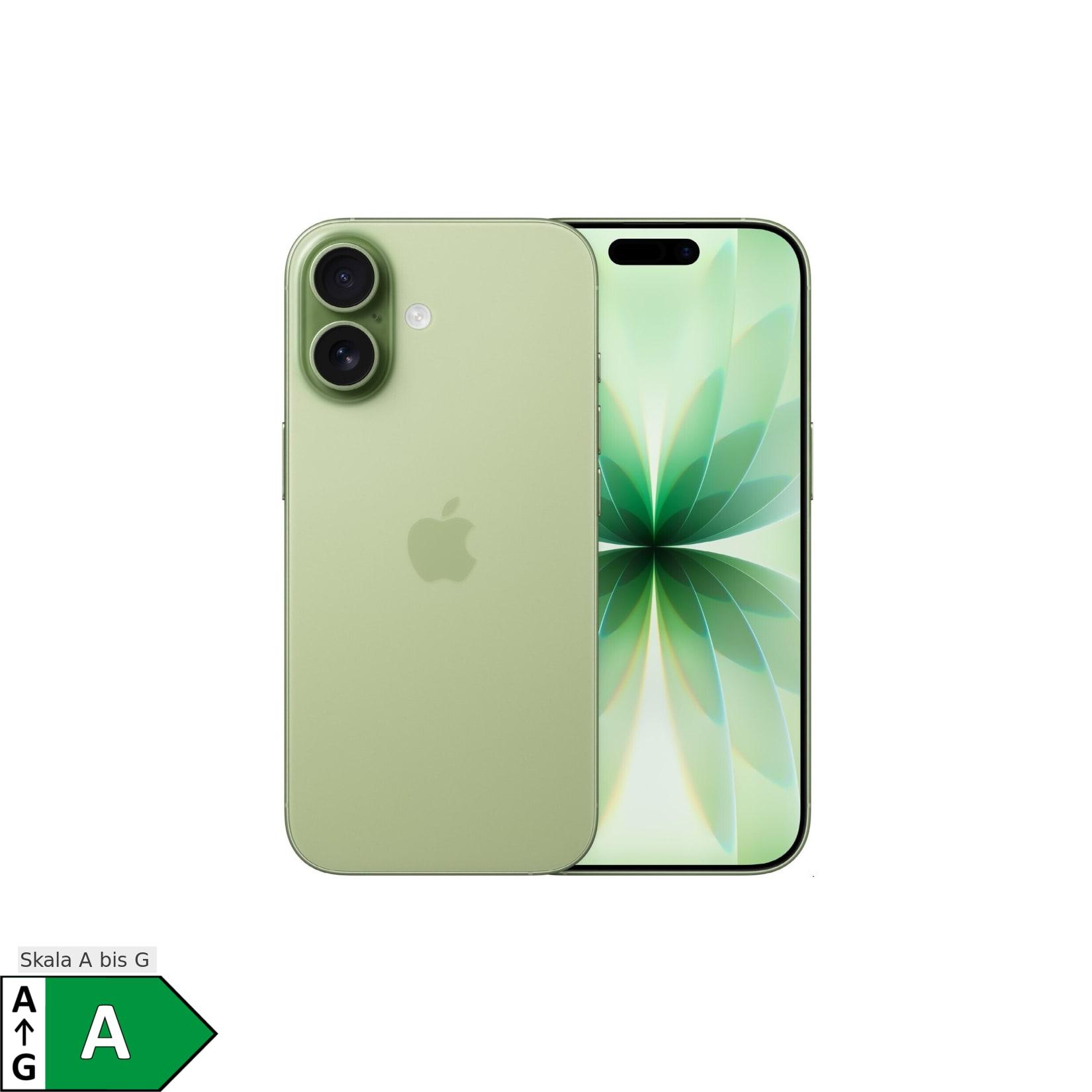 Apple iPhone 17 - 256 GB - Salbei (Modellnummer A3520)