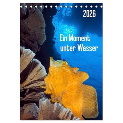 Ein Moment unter Wasser (Tischkalender 2026 DIN A5 hoch), CALVENDO Monatskalender