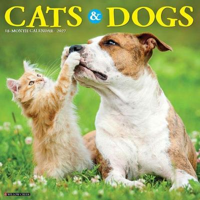 Cats & Dogs 2027 12 X 12 Wall Calendar