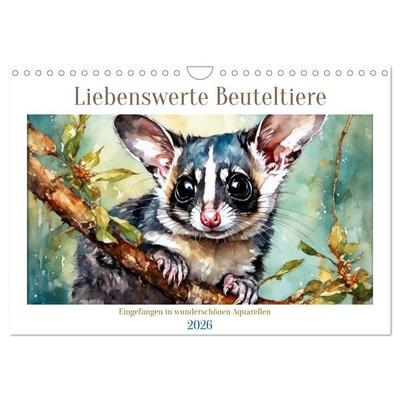Liebenswerte Beuteltiere (Wandkalender 2026 DIN A4 quer), CALVENDO Monatskalender