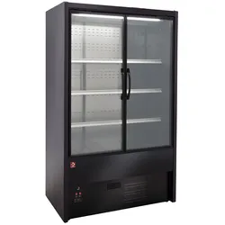 Wandkühlregal, Flügeltüren - SCHWARZ (DS12/B5-P9B)
