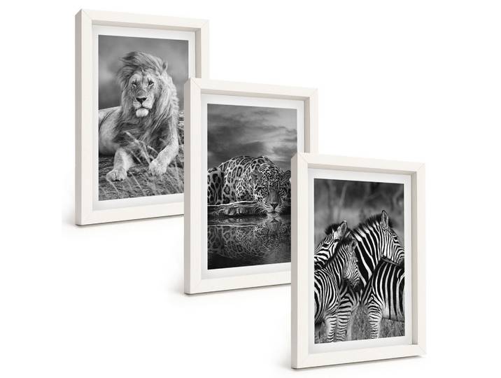 BILDER SET 3er Set - 20x30 cm Weißer Rahmen - Wildtiere der Savanne
