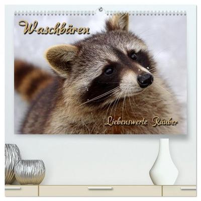 Waschbären (hochwertiger Premium Wandkalender 2026 DIN A2 quer), Kunstdruck in Hochglanz