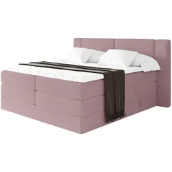 BOXSPRINGBETT mit Matratze H3/H4 - EVON KING - 200x200 cm Rosa