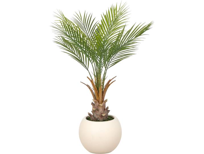 Kunstpalme CREATIV GREEN Phoenixpalme roebelenii , grün, H:90cm, Obermaterial: 100% Kunststoff, Kunstpflanzen, Kunstpalme, mit naturgetreuen Palmwedeln