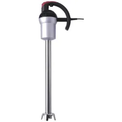 Kisag Profi, Stabmixer, Schwarz, Silber