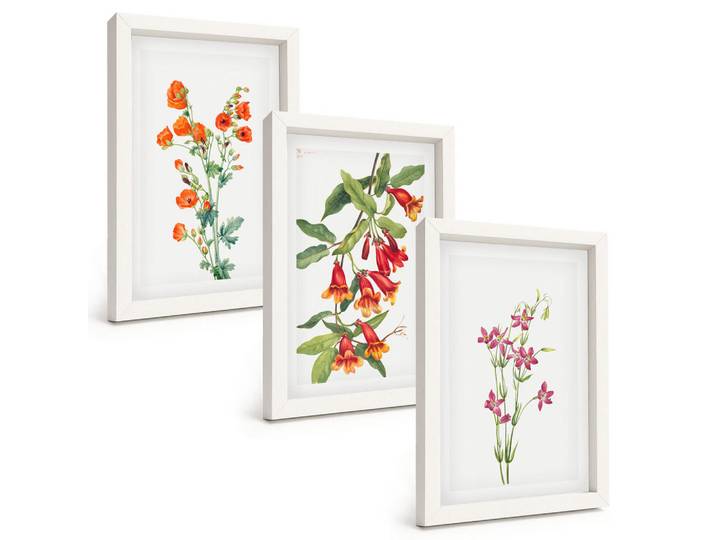 Tulup Bilder SET 3er Set - 20x30 cm Weißer Rahmen - Vintage-Retro-Blumenmalerei, Kunststoff, Rechteckig, 20x30 cm, einfache und schnelle Anbringung, Bilder & Rahmen, Bilder
