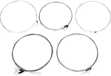 Svaram Svaraveena Strings Set