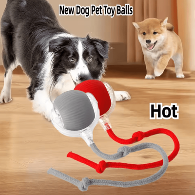 Uplift Curations Rechargeable Interactive Pet Ball Toy Automatic Rolling Cat Ball & Rechargeable Electric Dog Toy With Smart Motion rope red