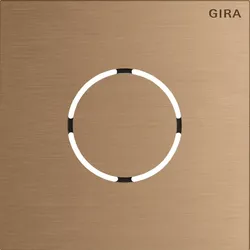 Gira 5578921 Frontpl. Sprachmodul System 106 Bronze